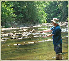 Fly Fishing for Wily Trout - click to enlarge